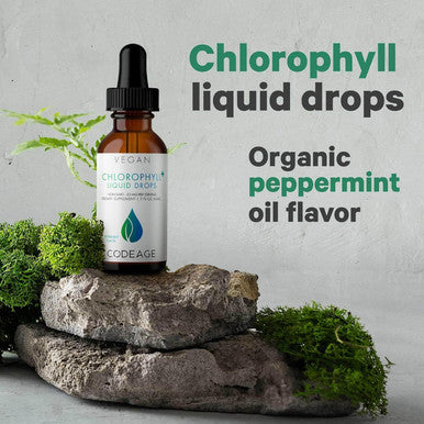 Codeage Chlorophyll Liquid Drops Supplement - Vegan Chlorophyll 50 mg per Serving Liquid Chlorophyll Water Organic Peppermint Flavor Clorofila Drink - Non-GMO Gluten- Vegan - 2 fl oz