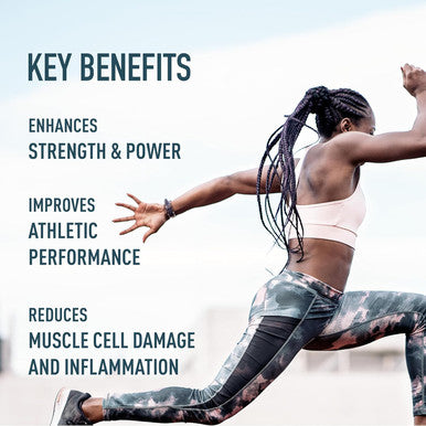 Organika Creatine Powder - Pure Micronized Creatine Monohydrate - Helps Build Lean Muscle, Increase Strength, And Improved Recovery And Performance - 500G