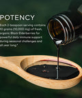 Gaia Herbs Black Elderberry (Sambucus Nigra) Syrup Adult Daily - Immune Support Supplement - with USDA Certified Organic Black Elderberries for Immune System Support - 5.4 Fl Oz (16-Day Supply)