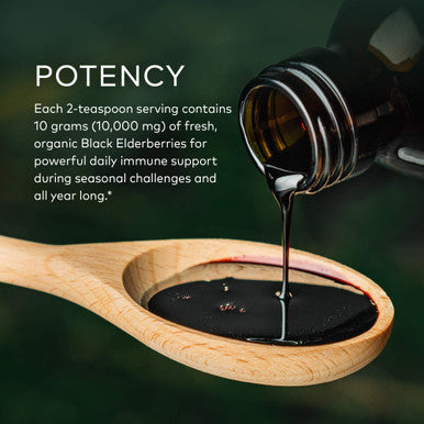 Gaia Herbs Black Elderberry (Sambucus Nigra) Syrup Adult Daily - Immune Support Supplement - with USDA Certified Organic Black Elderberries for Immune System Support - 5.4 Fl Oz (16-Day Supply)