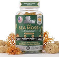 High Potency Irish Sea Moss Gummies ÃƒÂ¢Ã¢â€šÂ¬Ã¢â‚¬Å“ 1750mg Raw Wildcrafted Irish Sea Moss with Bladderwrack & Burdock Root ÃƒÂ¢Ã¢â€šÂ¬Ã¢â‚¬Å“ Thyroid, Immune, Detox & Energy ÃƒÂ¢Ã¢â€šÂ¬Ã¢â‚¬Å“ Manufacturer Direct - Made in USA - 60 Gummies