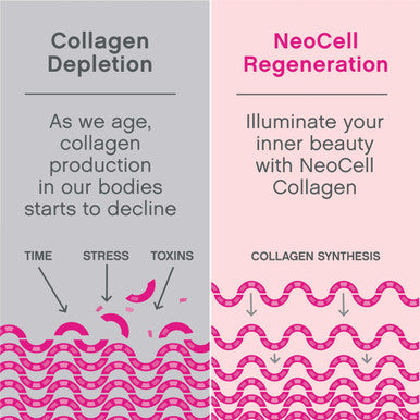 Neocell Hair Skin And Nails Beauty Builder With Collagen Biotin And Vitamin C Includes Antioxidants Gummy Lemon 60 Count 1 Bottle