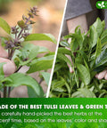 FreshDrinkUS, Premium 50 Mulberry Leaf Tea Bags, 100% Natural & Pure from Mulberry Leaves. Herbal Tea. Made with Natural Material Tea Bags. No Sugar, No Caffeine, No Gluten, Vegan.