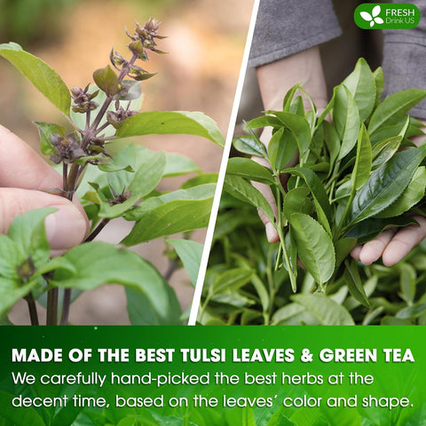 FreshDrinkUS, Premium 50 Mulberry Leaf Tea Bags, 100% Natural & Pure from Mulberry Leaves. Herbal Tea. Made with Natural Material Tea Bags. No Sugar, No Caffeine, No Gluten, Vegan.