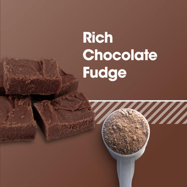 Optimum Nutrition (On) Gold Standard 100% Plant Based Protein Powder Gluten Free Vegan Protein For Muscle Support And Recovery With Amino Acids - Rich Chocolate Fudge 800 G 20 Servings