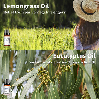 Essential Oils for Diffusers for Home,Natural Pure Aromatherapy Oils Gift Set for Humidifiers,Skin Care,Hair Care,Massage,Spray,Soak Making