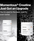 Momentous Creatine Monohydrate Powder 5g per Serving Unflavored | Supports Lean Muscle Strength Recovery and Cognitive Function NSF Certified for Sport Non-GMO and Gluten-Free (90 Servings)