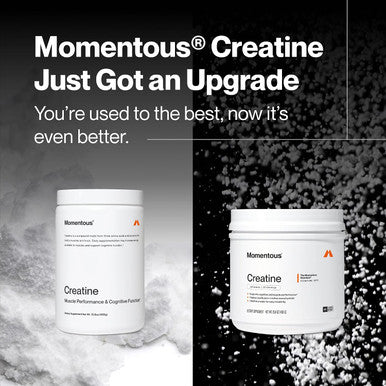 Momentous Creatine Monohydrate Powder 5g per Serving Unflavored | Supports Lean Muscle Strength Recovery and Cognitive Function NSF Certified for Sport Non-GMO and Gluten-Free (90 Servings)