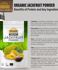 Ausha Organic Jackfruit Powder 250g