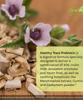 Irwin Naturals Prebiotics Healthy Tract Prebiotic Supplement For Intestinal Health 60 Liquid Soft-Gels Bundle With A Pill Case