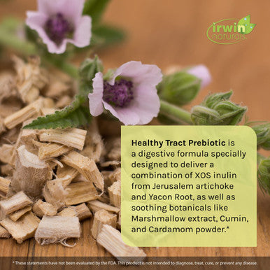 Irwin Naturals Prebiotics Healthy Tract Prebiotic Supplement For Intestinal Health 60 Liquid Soft-Gels Bundle With A Pill Case