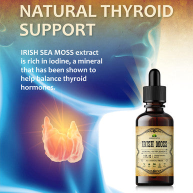 HERBALICIOUS Natural Irish Moss Extract - Drops For Health, Thyroid Function Support, Healthy Digestion, Energy Boost - Liquid Dietary Supplement - Vegetarian-Friendly Formula (2Oz)