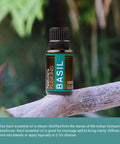 Natures Fusions Basil Essential Oil for 100% Pure 15ml