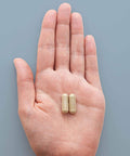 HEAL + CO. Immunity Complex | 4 Herbal Extracts + Vit C + Zinc | 120 Capsules