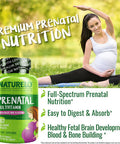 Naturelo Prenatal Multivitamin With Gentle Chelated Iron, Methyl Folate, Plant Calcium & Choline - Vegan, Vegetarian - Non-Gmo - Gluten - 180 Capsules - 2 Month Supply