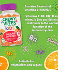 Chewy Vites Kids Multivitamin Advance Gummies 60s
