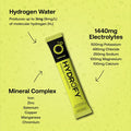 Hydrogen Water + Electrolytes Drink Mix - Variety Pack Hydration Packets With Molecular Hydrogen (H2), Sodium, Potassium, Magnesium Lemon Lime, Raspberry, Orange + Caffeine 12 Count