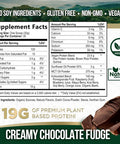 Nature'S Nutrition Premium Vegan Protein Powder Creamy Chocolate Fudge - 19g & 100% Plant Based Protein & Fast Absorbing Premier Isolate for Smoothies & Shakes - Non Dairy Non Whey Soy & Gluten - 30 Servings