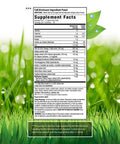 Irwin Naturals Ginkgo Smart 60 Softgels 63742