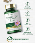 Carlyle Banaba Leaf Extract Capsules 600mg | 200 Count | Non-GMO Gluten
