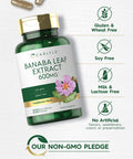 Carlyle Banaba Leaf Extract Capsules 600Mg | 200 Count | Non-Gmo, Gluten Free