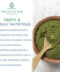 Holistic Bin Marine Phytoplankton Powder ly Grown in Nordic Seawater | Vegan Omega 3 Supplement | Rich in Amino s, Chlorophyll, Vitamins, & Trace Minerals (50g)