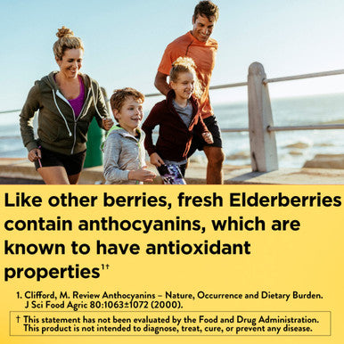 Nature Made Elderberry 400 Mg Extract With Vitamin C And Zinc Dietary Supplement For Immune Support 60 Capsules 60 Day Supply