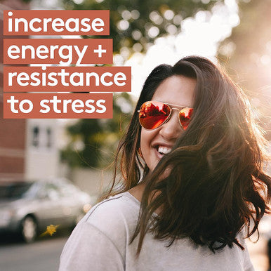 HEAL + CO. Reishi | High Potency 4:1 extract, 4000 mg per serving |Stress + Immunity | 120 x 500 mg Capsules