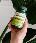 Banyan Botanicals Ashwagandha Tablets Organic Ashwagandha Root Renowned Herbal Adaptogen For Natural Energy Support And Stress Support* 90 Tablets Non-Gmo Sustainably Sourced Vegan