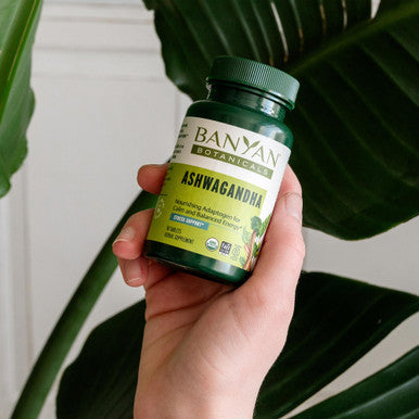 Banyan Botanicals Ashwagandha Tablets Organic Ashwagandha Root Renowned Herbal Adaptogen For Natural Energy Support And Stress Support* 90 Tablets Non-Gmo Sustainably Sourced Vegan
