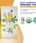 Elephant Park Premium Organic Tea Bag 80 Pack Sampler Designer Tin Book Set 10 Per Flavor Assorted Variety Exotic Fruit Herbal Black And Green Teas Individually Wrapped (8 Flavors)