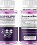 N1N Premium Elderberry Gummies Vitamin C Zinc and Immune Support Booster 10 Potent Ingredients to Support Gut Health and Boost Immunity 2 Pack Bundle