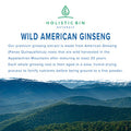 Holistic Bin American Ginseng Capsules Made with Pure Wild Harvested Appalachian Ginseng Root (Panax Quinquefolius) | No Fillers or Additives