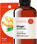 Hana Ginger Essential Oil - Relieves Muscle Aches and Renew Lymphatic Flow - For Therapeutic Massages - 100 Pure Therapeutic Grade For Aromatherapy and Topical Use - 30ml