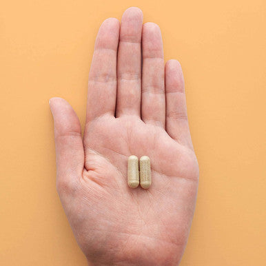 HEAL + CO. Echinacea | High Potency 10:1 Extract, 5000 mg per serving | Immune Support | 120 x 500 mg Capsules