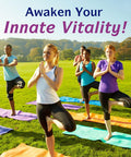 Innate Vitality Organic Milk Thistle Supplement, 9000Mg Equivalent (300Mg Extract), 80% Silymarin Flavonoids, Liver Health, Detox & Cleansing, Antioxidant Support, Non-Gmo, 120 Veggie Capsules