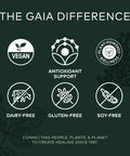 Gaia Herbs Black Elderberry - Daily Immune Support Supplement to Help Maintain Well-Being - with Black Elderberries and Acerola for Antioxidant Support - 60 Vegan Capsules (30-Day Supply)