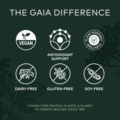 Gaia Herbs Black Elderberry - Daily Immune Support Supplement to Help Maintain Well-Being - with Black Elderberries and Acerola for Antioxidant Support - 60 Vegan Capsules (30-Day Supply)