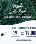 Sulforaphane Supplement 19mg Real Stabilized Sulforaphane 405mg Complex 125mg of Glucoraphanin Myrosinase from Broccoli Sprouts Seed Extract Antioxidant Detoxification Cellular Health