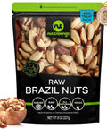 NUT CRAVINGS - Brazil Nuts Roasted & Salted - No Shell, Whole (16oz - 1 LB) Packed Fresh in Resealable Bag - Healthy Protein Food Snack, Food Assortments