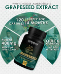 Ambrosial Ambrosial Grape Seed Extract Capsules | 95% OPCs Polyphenols | High Strength Grape Seed Supplement | Strong Antioxidant | Pack of 1-120 Vegan Capsules