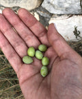 thÃƒÆ’Ã‚Â©a Premium Greek Extra Virgin Olive Oil (750ml) I NEW Harvest 2024/2025 I Koroneiki Variety I First Cold Pressed I Low Acidity I Unblended I Handpicked & Harvested in Kalamata, Greece I Kosher I Halal