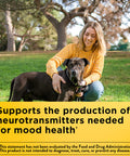 Nature Made Vitamin B6 100 Mg Dietary Supplement For Energy Metabolism Support 100 Tablets 100 Day Supply