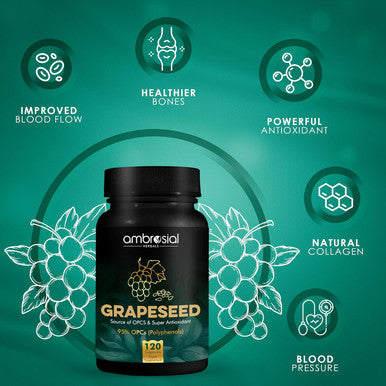 Ambrosial Ambrosial Grape Seed Extract Capsules | 95% OPCs Polyphenols | High Strength Grape Seed Supplement | Strong Antioxidant | Pack of 1-120 Vegan Capsules