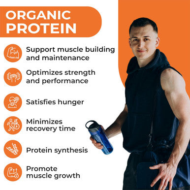 Aitnaturals Plant-Based Organic Protein Powder Creamy Chocolate Fudge 1kg 2.2lbs 25 Servings - 20g Pea Protein per Serving| Ideal for Smoothies & Shakes | Supports Muscle Growth & Workout Recovery