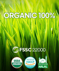 Teazen Organic Barley Sprout Juice Powder Korean Organic Superfood Greens Grass Great for Iced Tea and Smoothie 100g (3.5oz)