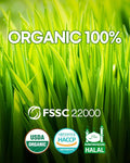 Teazen Organic Barley Sprout Juice Powder Korean Organic Superfood Greens Grass Great for Iced Tea and Smoothie 100g (3.5oz)