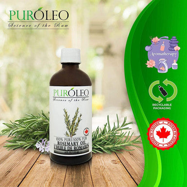 PUROLEO Rosemary Essential Oil, 4 FL OZ/120 ML (Large Bottle) 100% Pure Natural Undiluted, for Aromatherapy (MADE IN CANADA)