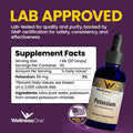 Wellnessone Ionic Potassium Supplement - Potassium Chloride Drops For Fast Absorption - Boost Immune System & Muscle Function - Usa Tested, Vegan, Non-Gmo, Gluten Free, Unflavored, 1.67 Fl Oz
