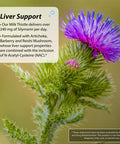 Irwin Naturals 2 In 1 Kidney & Liver Super Cleanse, 60 Liquid Soft-Gels